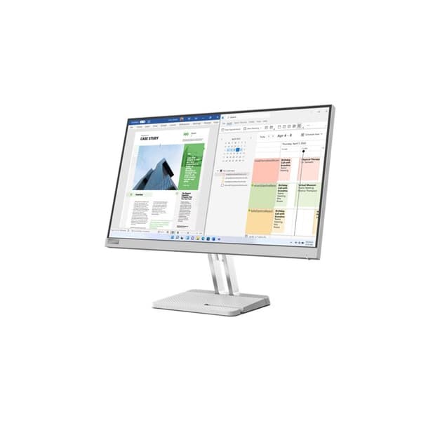 Skärm - LENOVO - L25e-40 - 24,5" FHD - 75Hz - 4ms - EyeSafe - HDMI/VGA - Grå