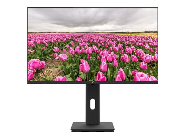 V7 L238V0-HAS-E - LED-skjerm - 24" (23.8" synlig) - 1920 x 1080 Full HD (1080p) - IPS - 250 cd/m² - 1000:1 - 5 ms - HDMI, VGA - høyttalere - svart