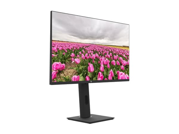 V7 L238V0-HAS-E - LED-skjerm - 24" (23.8" synlig) - 1920 x 1080 Full HD (1080p) - IPS - 250 cd/m² - 1000:1 - 5 ms - HDMI, VGA - høyttalere - svart Sort