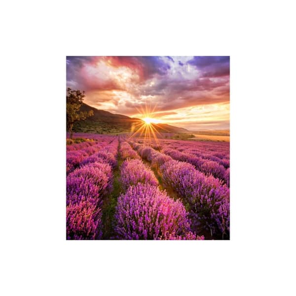 Videovägg Monitor Samsung LH025IFHBAS/EN