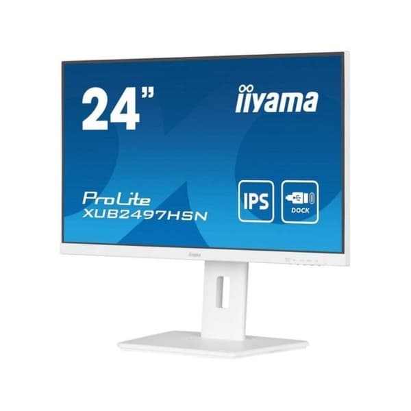 iiyama ProLite XUB2497HSN-W2
