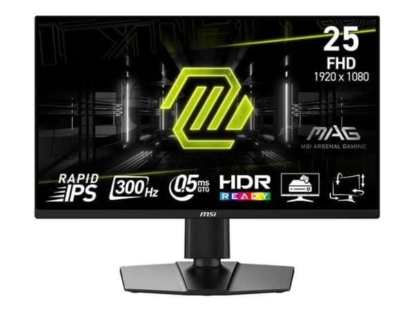MSI MAG 255PXF - LED-skärm - spel - 25" (24.5" visbar) - 1920 x 1080 Full HD (1080p) @ 300 Hz - Fast IPS - 250 cd/m² - 1000:1 - 0.5 ms - 2xHDMI, Disp