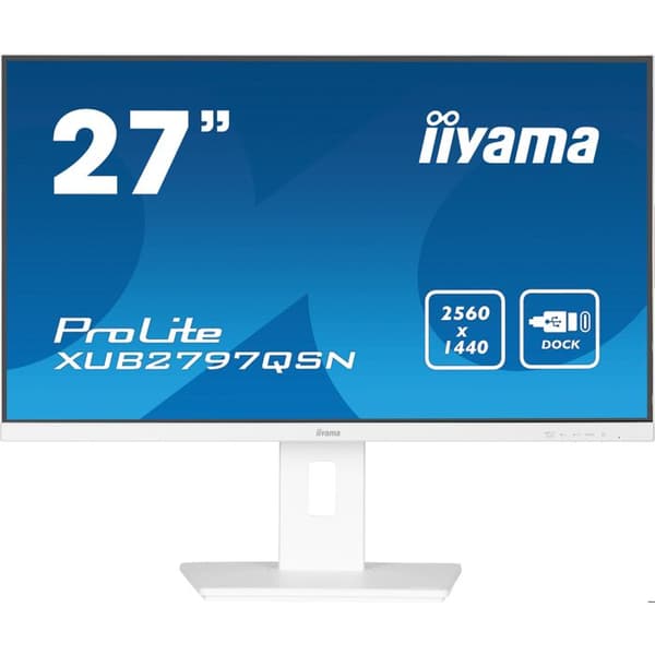 IIYAMA Namn: iiyama G-MASTER X