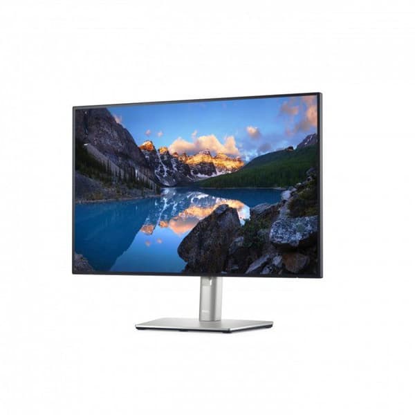 Dell U2421E 24" UltraSharp WUXGA LED-bakgrundsbelyst LCD IPS-skärm 60Hz 8ms Svart, Silver
