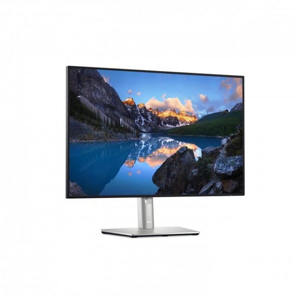 Dell U2421E 24" UltraSharp WUXGA LED-bakgrundsbelyst LCD IPS-skärm 60Hz 8ms Svart, Silver