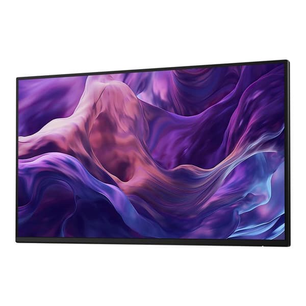 Dell 24 Monitor - P2425H utan stativ