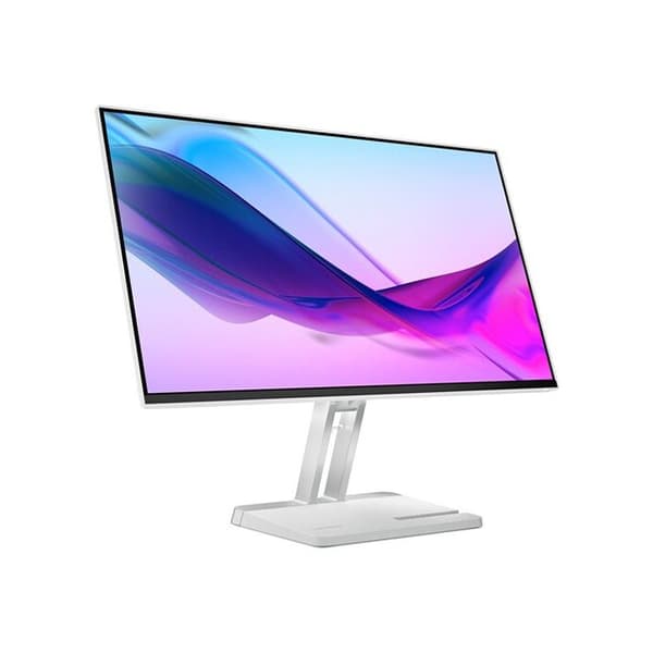 LED-skärm - LENOVO - L24i-4A - 23,8 tum - 1920 x 1080 - Grå - HDMI