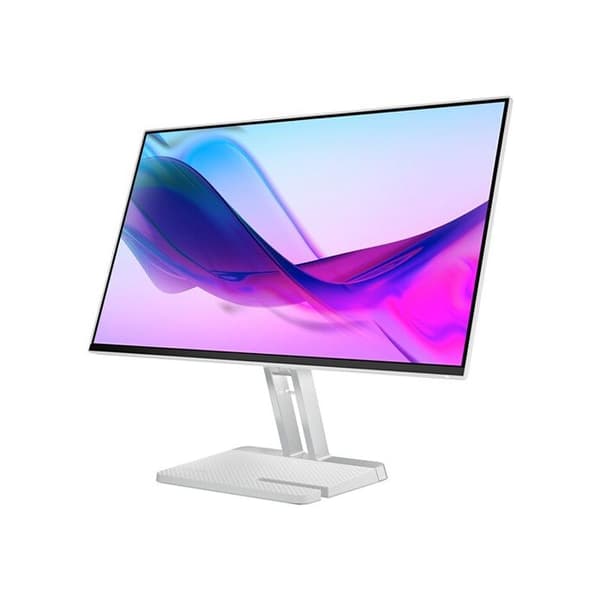 LED-skärm - LENOVO - L24i-4A - 23,8 tum - 1920 x 1080 - Grå - HDMI