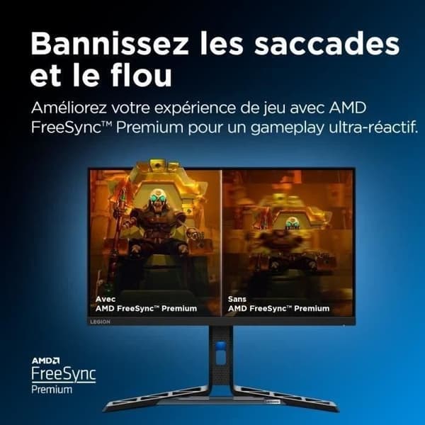 Ecran PC Gamer LENOVO Legion R25i-30 - 24,5" IPS FHD 165Hz - 0,5ms - Kablar DP - AMDFreeSync Premium