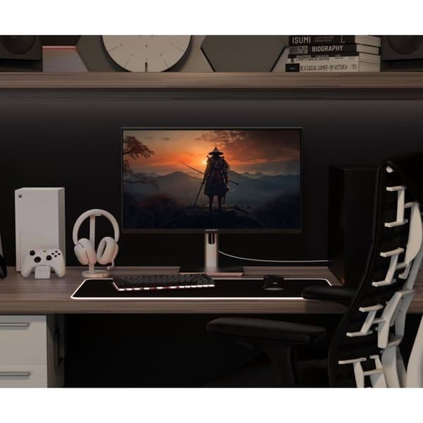 Spel-PC-skärm | 24,5" | IPS | FHD | 320Hz | HSP
