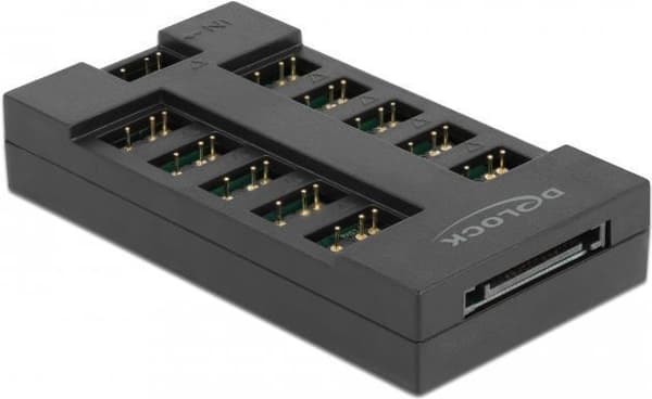 Delock - RGB LED-ljushubb - 10 portar - svart (64128)