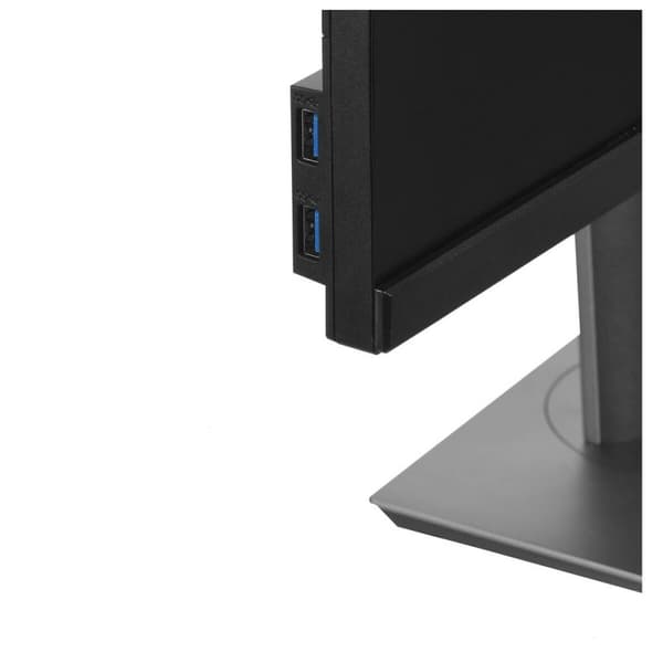 BEGAGNAD Monitor Dell P2421 WUXGA 24,1" (Renoverade A)
