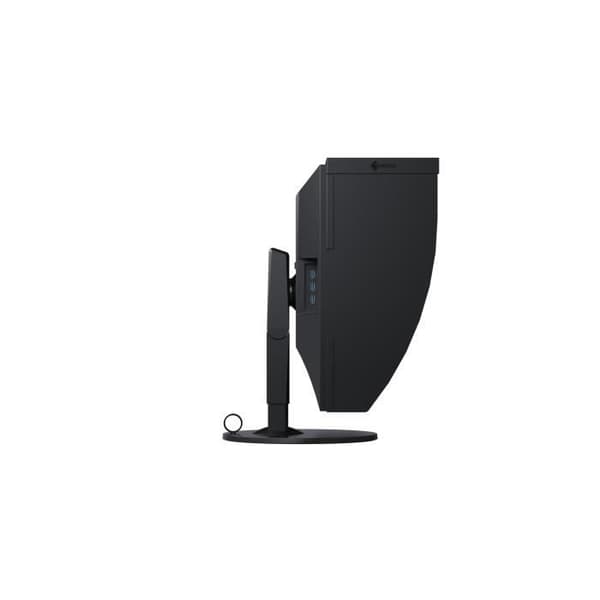 EIZO ColorEdge CG319X - 79 cm (31,1") - 4096 x 2160 pixlar - 4K Ultra HD - LED - 9 ms - Svart