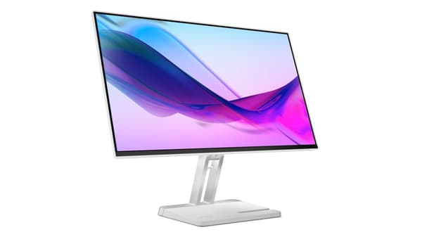 Lenovo L24i-4A LED-skärm 60,5 cm (23,8 tum) 1920 x 1080 pixlar Full HD Grå
