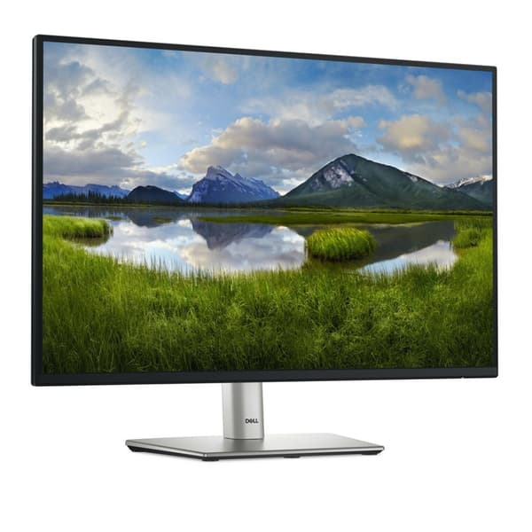 DELL LED 24-tums P2425E-skärm