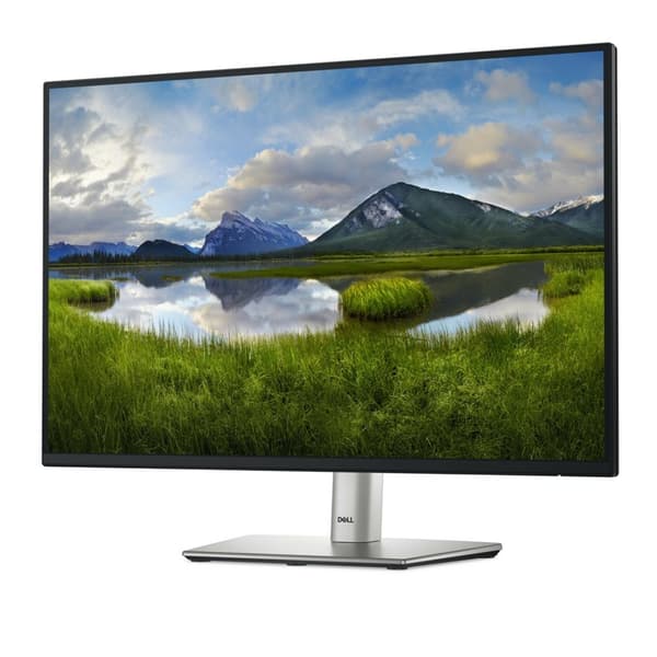 DELL LED 24-tums P2425E-skärm