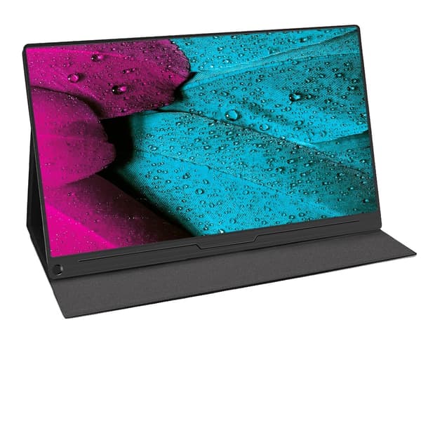 Spilbar bærbar skærm, 60hz opdateringshastighed, USB Type-C forbindelse,15.6tommer 1080P, EU stik