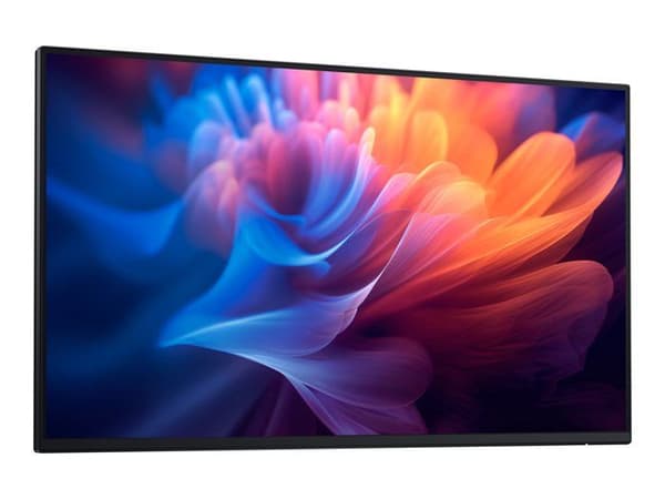Dell 27 Monitor - P2725H utan stativ