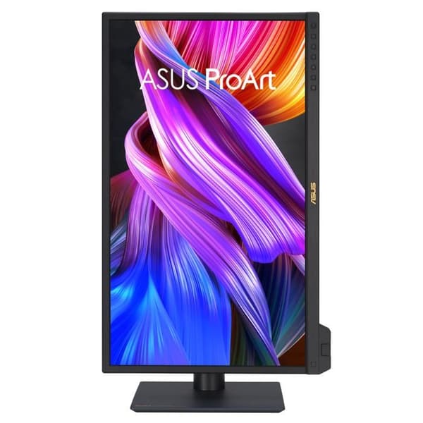 ASUS ProArt PA24US platt skärm