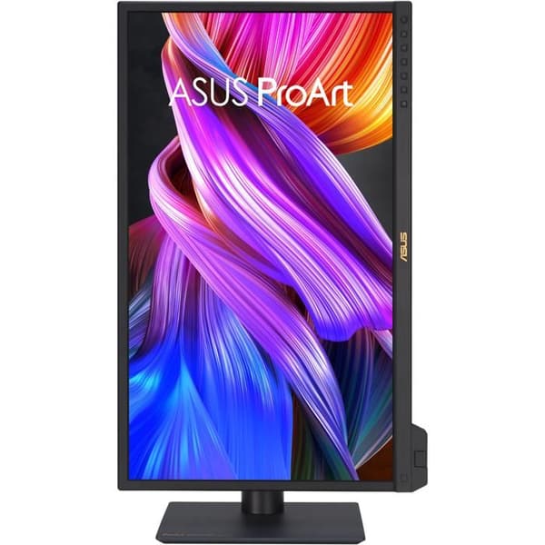 ASUS ProArt PA24US platt skärm Svart
