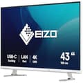 Miniatyrbild 2 av 2: LED-skärm - EIZO - FlexScan EV4340X-WT - 42,5" - 4K Ultra HD - 5 ms responstid
