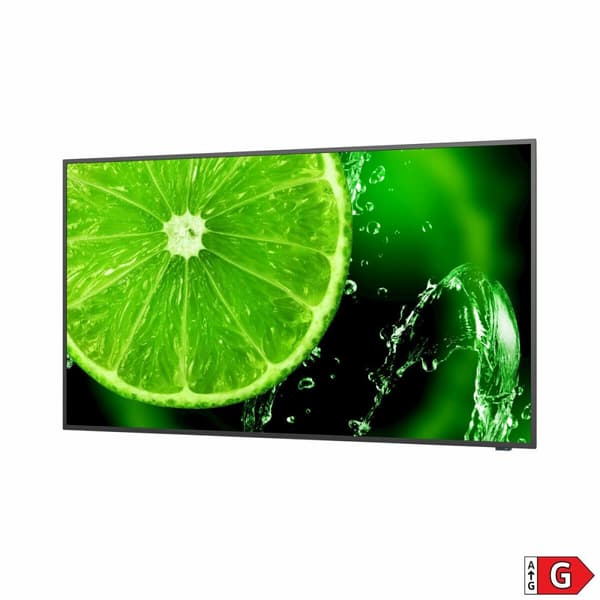 Näyttö NEC 60005052 49" IPS LED
