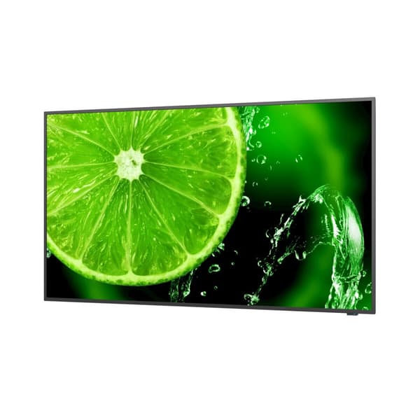 Näyttö NEC 60005052 49" IPS LED musta
