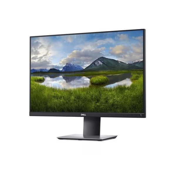 DELL P2421 PC FLAT MONITOR 61,2 CM (24,1'') 1920 X 1200 PIXEL WUXGA