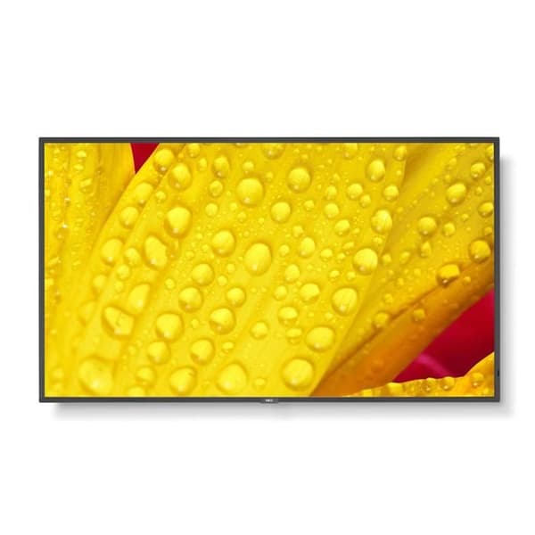 LCD-skärm - Sharp NEC Display Solutions - NEC MultiSync ME431 - 43" - 4K - HDMI, DisplayPort