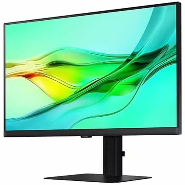 Skærm Samsung LS24D604UAUXEN