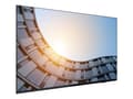 Miniatyrbild 1 av 5: Lenovo ThinkVision E65 LFD, 163,8 cm (64.5"), 3840 x 2160 pixel, 4K Ultra HD, LCD, 8 ms, Sort