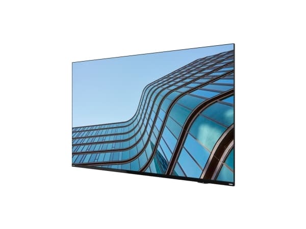 Lenovo ThinkVision E55 LFD, 138,7 cm (54.6"), 3840 x 2160 piksler, IPS, Direct-LED, 0,315 x 0,315 mm, 16:9