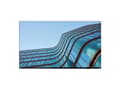 Miniatyrbilde 1 av 5: Lenovo ThinkVision E55 LFD, 138,7 cm (54.6"), 3840 x 2160 piksler, IPS, Direct-LED, 0,315 x 0,315 mm, 16:9