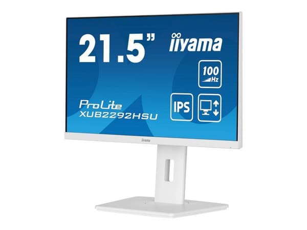 IIYAMA 21,5" LED