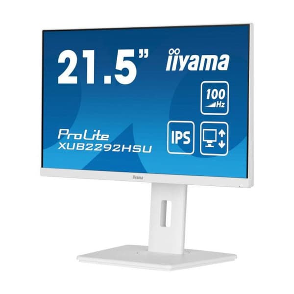 IIYAMA 21,5" LED