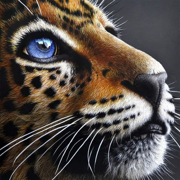 Diamond Painting / Diamantmålning 30x40cm - Leopard Blåa Ögon