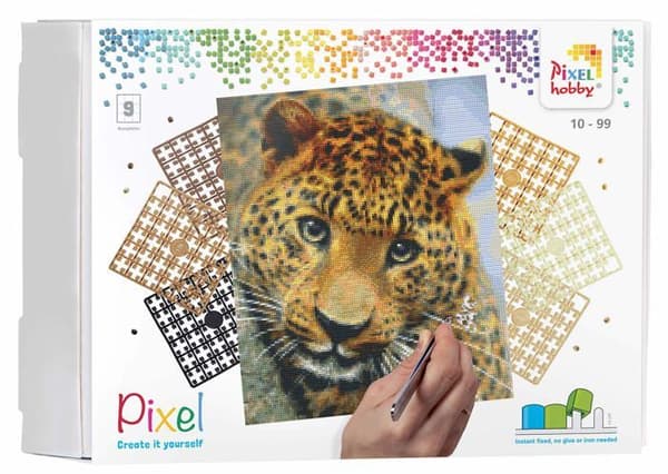 Pixel mosaikspel - P090050