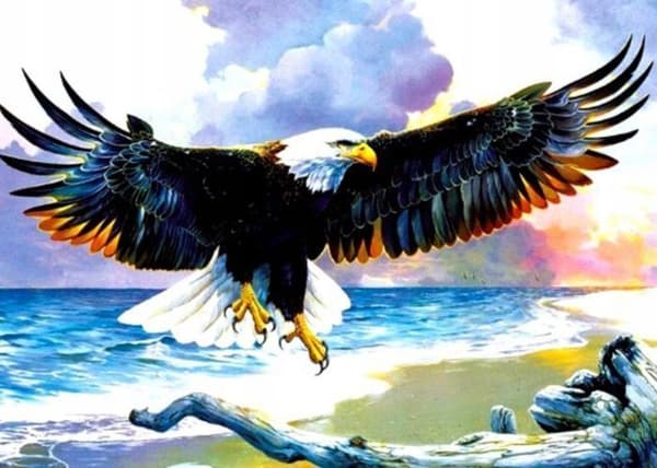 Norimpex *****Diamantmosaik Aigle 1007049***
