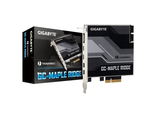 Gigabyte GC-MAPLE RIDGE (rev. 1.0) - Thunderbolt-adapter - PCIe 3.0 x4 - Thunderbolt 4 x 2