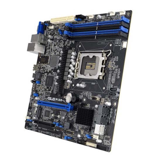 Asus P13r-m Server Moderkort