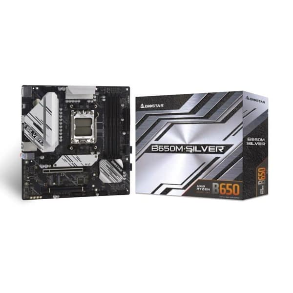 Biostar B650M-SILVER