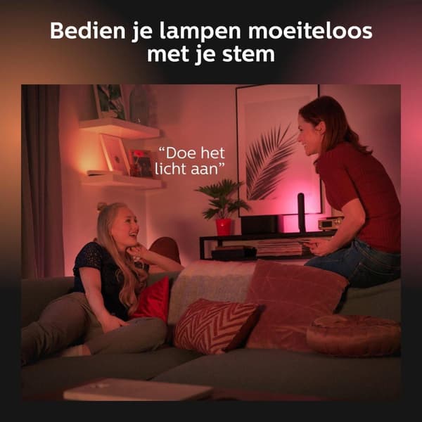 Philips Hue White and Colour Ambiance Play Lightbar Twin Pack Dimbar upp till 16 miljoner färger Styrbar via app Kompatibel med Amazon Alexa Black (87