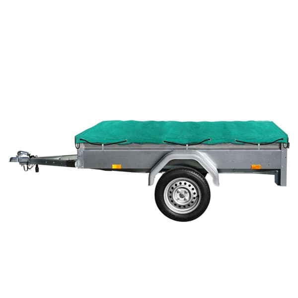 ProPlus Nät med Elastisk tråd till Släp, 2 x 3 m 340774
