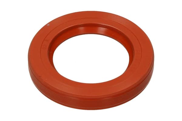 DELPHI O-RING INSPRUTNINGSPUMP MERCEDES C-KLASS 2.2 2008-