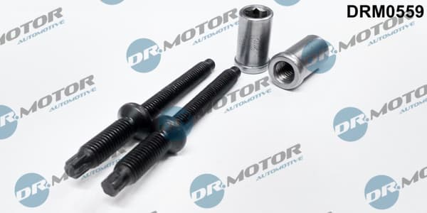 Dr. MOTORINJEKTORSKRUVSATS CITROEN C4 1.6HDI 03- 4 ELEMENT