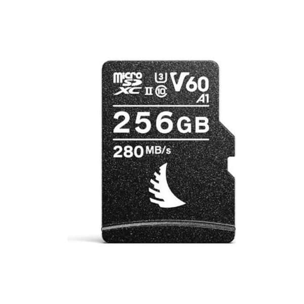 ANGELBIRD AV Pro microSD (256 GB) V60