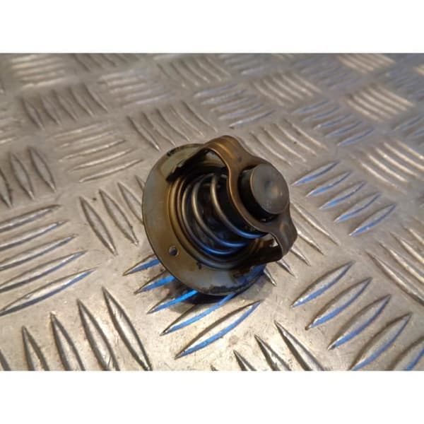 motorcykel termostat yamaha yzf 1000 r1 2004 - 06 jyarn12 rn12 5vy- USED
