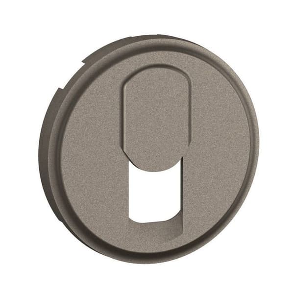 "ensköljare - för RJ45-uttag - titan - legrand céliane ct0340"