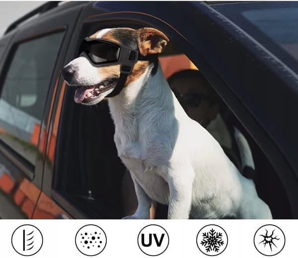 Briller til hunde, katte, dyr, motorcykel, cykel, UV400-beskyttelse