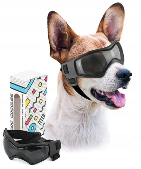 Briller til hunde, katte, dyr, motorcykel, cykel, UV400-beskyttelse